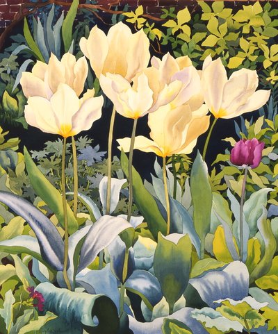 Jasne tulipany (akwarela na papierze) autorstwa Christopher Ryland