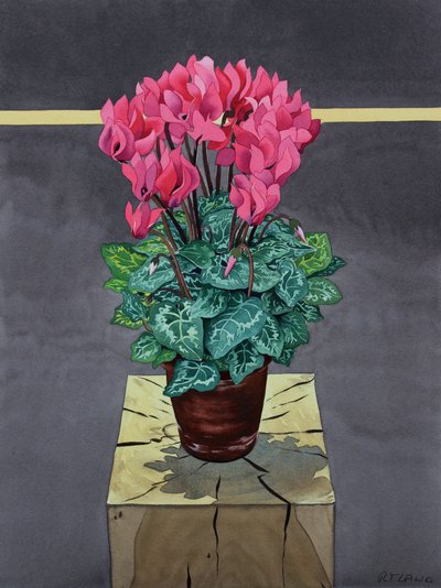 Cyklamen Martwa Natura (akwarela na papierze) autorstwa Christopher Ryland