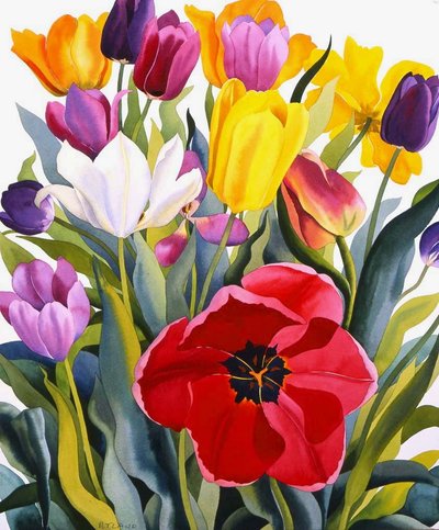 Tulipany, 2007 (akwarela na papierze) autorstwa Christopher Ryland