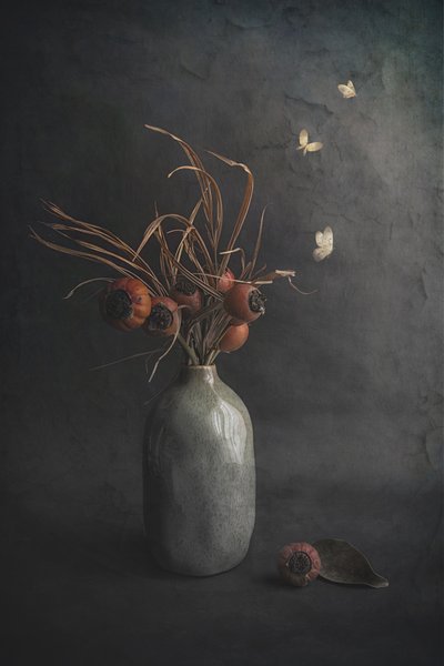  autorstwa Cicek Kiral