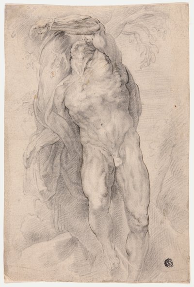 Mężczyzna nago przywiązany do drzewa autorstwa Circle of Peter Paul Rubens