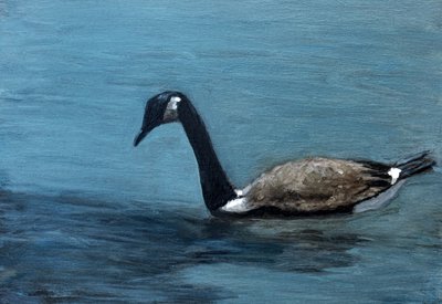  autorstwa Claire Lerner