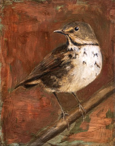  autorstwa Claire Lerner