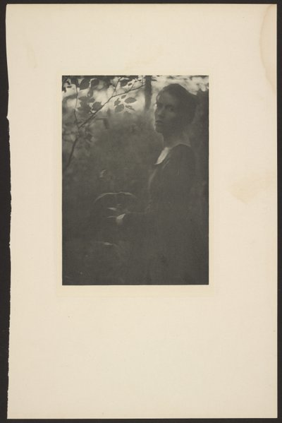 [Edge of the Woods -- Evening] autorstwa Clarence H. White