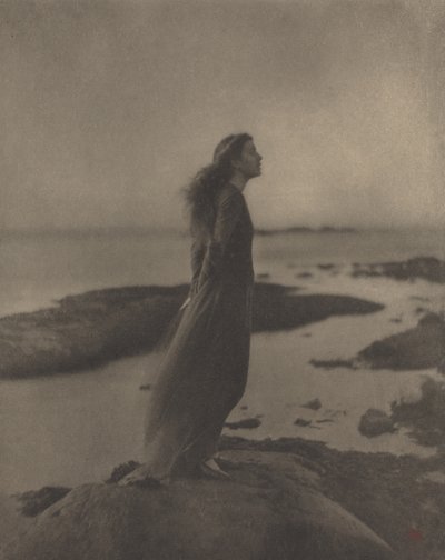 Różany Pastor Stokes autorstwa Clarence H. White