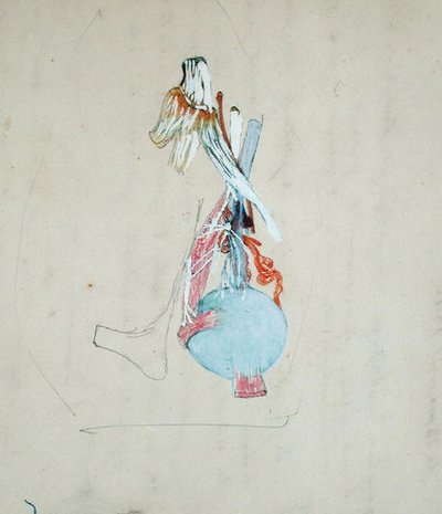 Układ nerwowy w głowie kota, 25 maja 1842 (ołówek & akwarela na papierze) autorstwa Claude Bernard