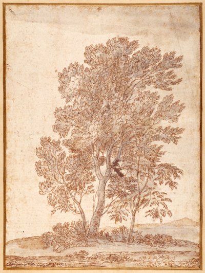 Trzy drzewa (pióro i brązowy tusz z szarym praniem na papierze) autorstwa Claude Lorrain