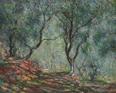 Gaj oliwny w ogrodzie Moreno, 1884 autorstwa Claude Monet