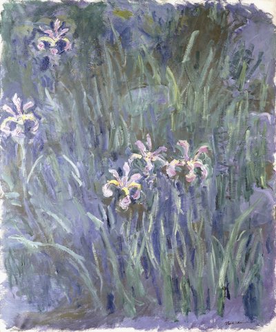 Irys, ok. 1914-1917 autorstwa Claude Monet