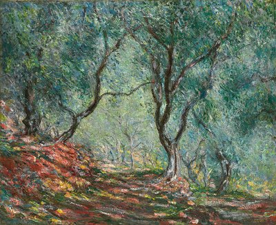 Drzewa oliwne w ogrodzie Moreno; Gaj oliwny w ogrodzie Moreno, 1884 autorstwa Claude Monet