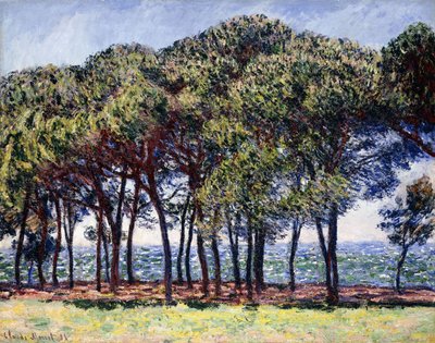 Sosny, Cap d"Antibes, 1888 r. autorstwa Claude Monet