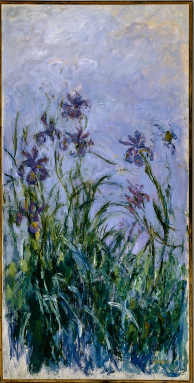 Fioletowe Irysy, 1914-17 autorstwa Claude Monet