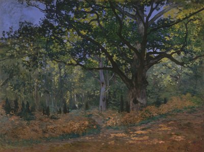Dąb Bodmer, Las Fontainebleau autorstwa Claude Monet