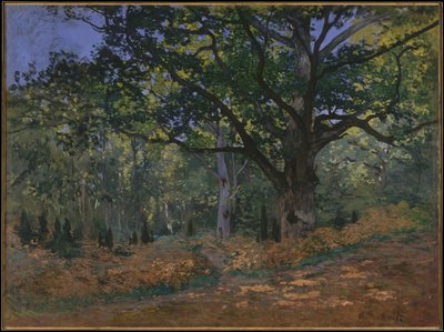 Dąb Bodmer, Las Fontainebleau, 1865 autorstwa Claude Monet