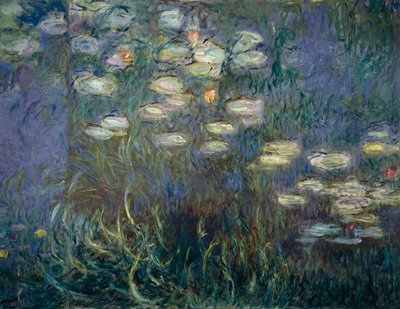 Lilie wodne (detal) (olej na płótnie) autorstwa Claude Monet