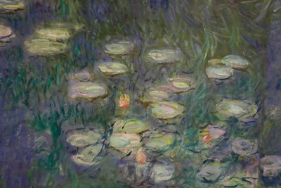Lilie wodne (olej na płótnie) autorstwa Claude Monet