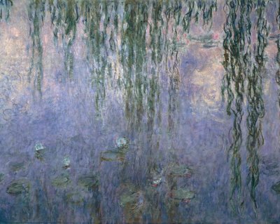 Lilie wodne, Claude Monet, detal autorstwa Claude Monet