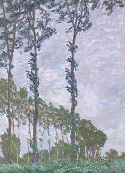 Efekt wiatru, Seria topoli, 1891 autorstwa Claude Monet