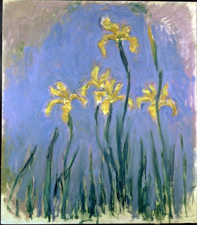 żółte irysy; Les Iris Jaunes, ok. 1918-1925 (olej na płótnie) autorstwa Claude Monet