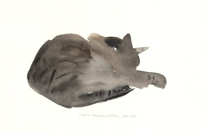Śpiący kot, 1985 (akwarela) autorstwa Claudia Hutchins Puechavy