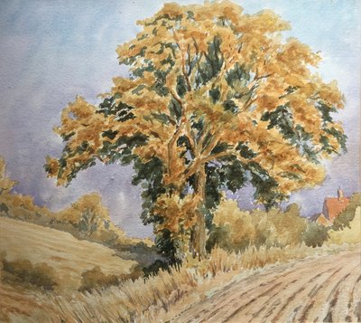 Żniwny zachód słońca, North Denford autorstwa Clive Wilson