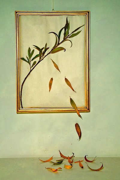  autorstwa Codruta Georgescu