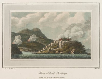 Wyspa Gołębi na Martynice. Litografia (56,6x43,4 cm) autorstwa wielebnego Coopera Willyamsa (1762-1816). autorstwa Cooper (after) Willyams