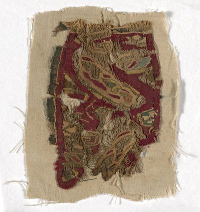 Fragment autorstwa Coptic