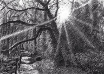  autorstwa Corné Akkers