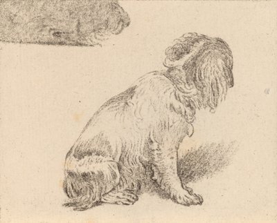 Siedzący pies, 1777. autorstwa Cornelis Brouwer