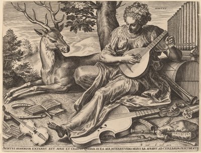 Przesłuchanie autorstwa Cornelis Cort after Frans Floris I