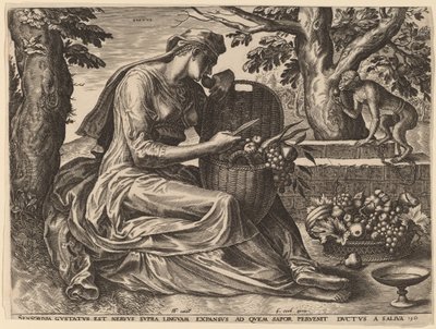 Smak autorstwa Cornelis Cort after Frans Floris I