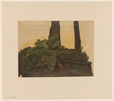 Rośliny u podnóża pnia drzewa autorstwa Cornelis Johannes de Vogel