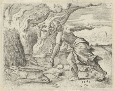 Samson podpala pola kukurydzy Filistynów Historia Samsona (tytuł serii) autorstwa Cornelis Massijs
