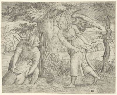 Tobiasz i ryba Historia Tobiasza (tytuł serii) autorstwa Cornelis Massijs