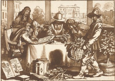 botanik autorstwa Cornelis Ploos van Amstel (signed by artist)