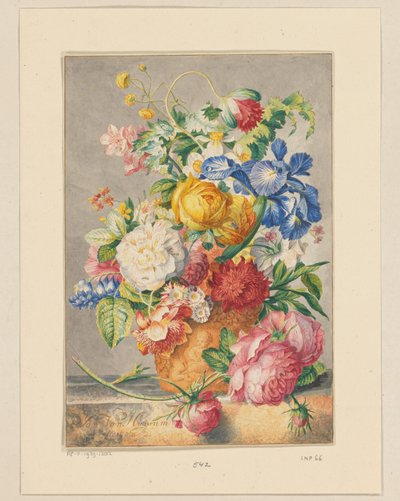 kwiat martwa natura autorstwa Cornelis Ploos van Amstel