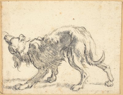 Pies autorstwa Cornelis Saftleven