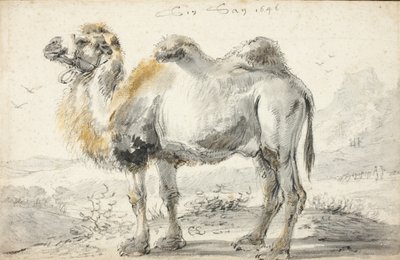 Wielbłąd autorstwa Cornelis Saftleven