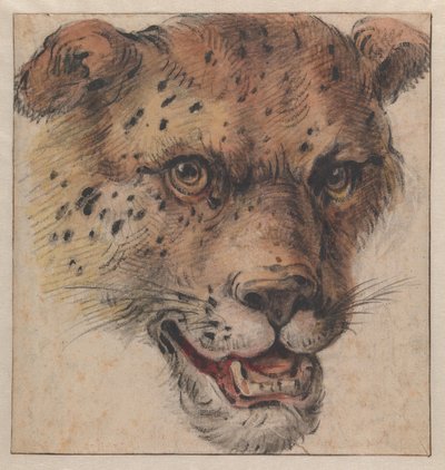  autorstwa Cornelis Saftleven