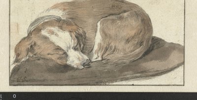 Śpiący Pies autorstwa Cornelis Saftleven