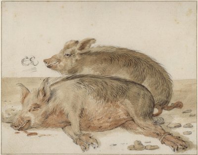  autorstwa Cornelis Saftleven