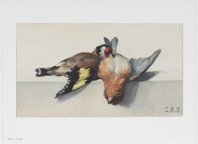 Martwa natura z dwoma martwymi ptakami autorstwa Cornelis Samuel Stortenbeker