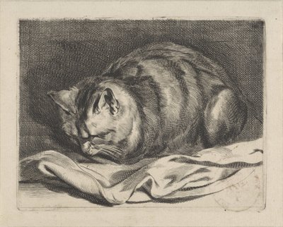 mały kotek autorstwa Cornelis Visscher (II)