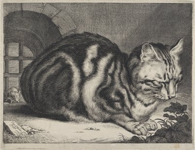 Duży kot autorstwa Cornelis Visscher (II)