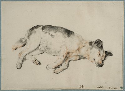  autorstwa Cornelis Visscher