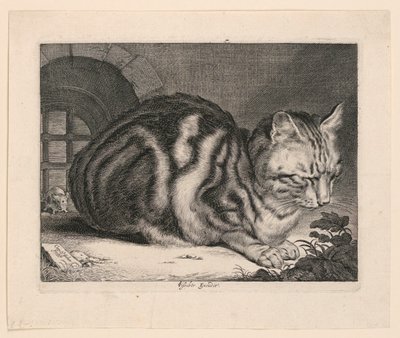 Duży kot autorstwa Cornelis Visscher