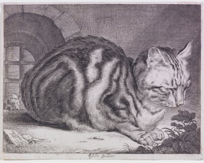 Duży kot autorstwa Cornelis de Visscher