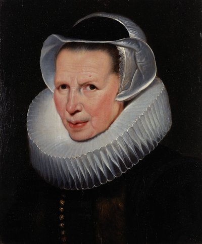  autorstwa Cornelis de Vos