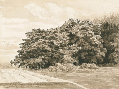 Wrottesley Hall - The Shrubbery: rysunek w sepii, 1820 autorstwa Cornelius Varley